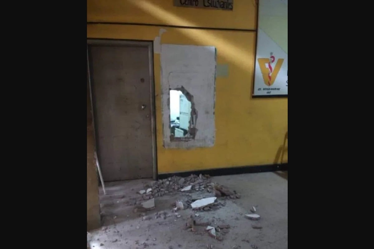 Universidades están siendo robadas y las autoridades no responden, denuncia CDU-LUZ