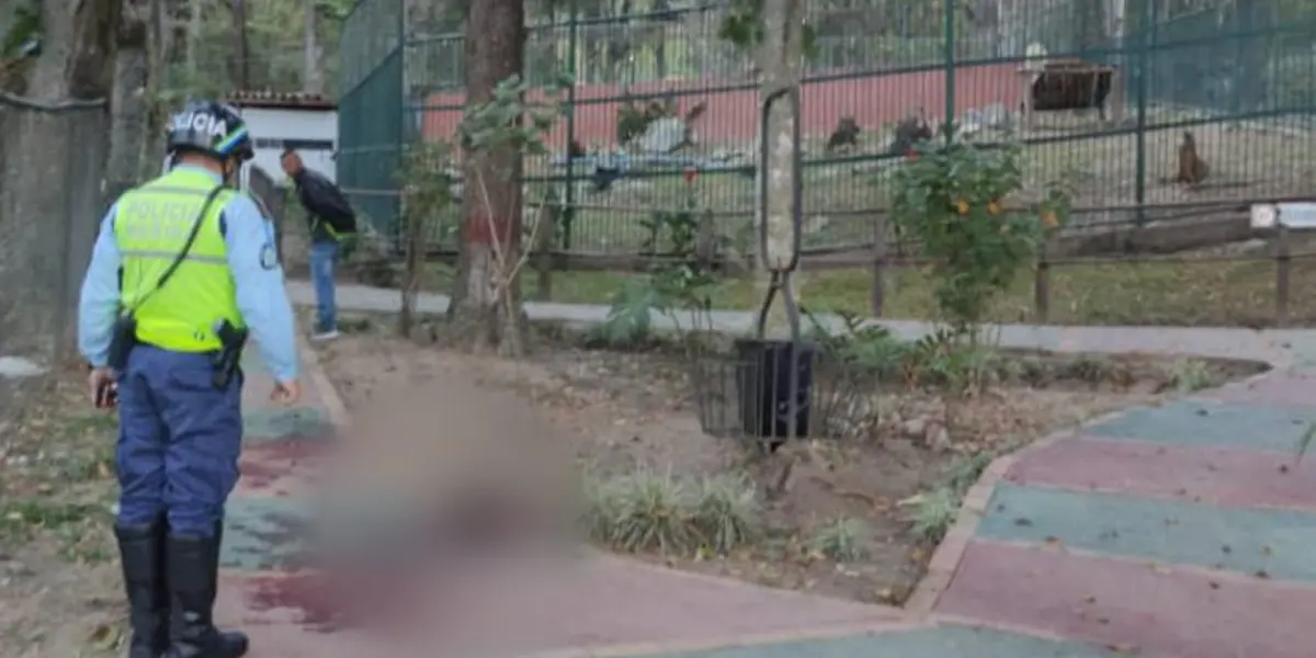 Mérida: murió vigilante que intentó acariciar a un león en estado de ebriedad