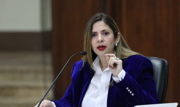 Tribunales deben seguir recibiendo solicitudes de amnistía, dijo Nora Bracho