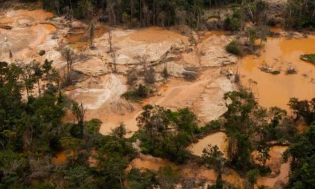 Organizaciones civiles rechazaron el nuevo proyecto de la Ley Orgánica de Minas