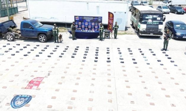 Incautaron más de 280 kilos de marihuana durante operativos en Lara y Falcón