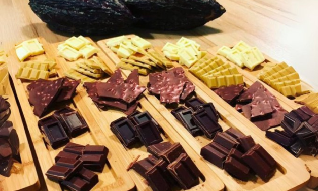 Margarita busca un nuevo Récord Guinness para Venezuela con cata de chocolate