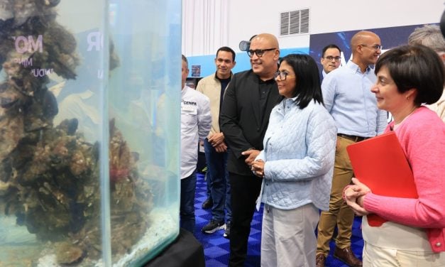 Delcy Rodríguez anunció la creación de un registro para jóvenes profesionales