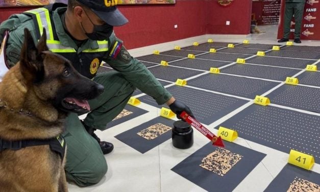 GNB incautó más de 21 mil pastillas de cocaína en punto de control en Táchira