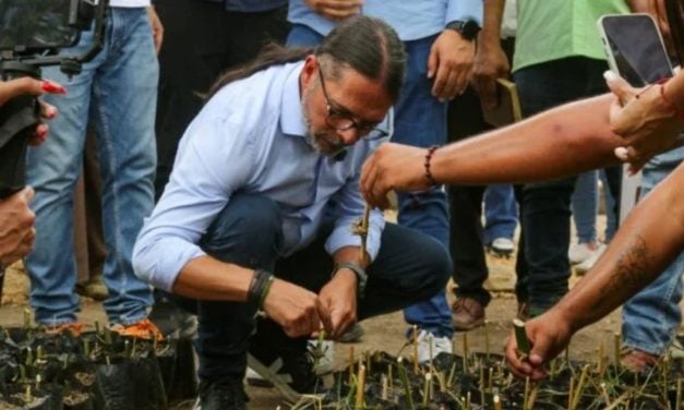 Gobierno ratificó meta de sembrar 10 millones de árboles